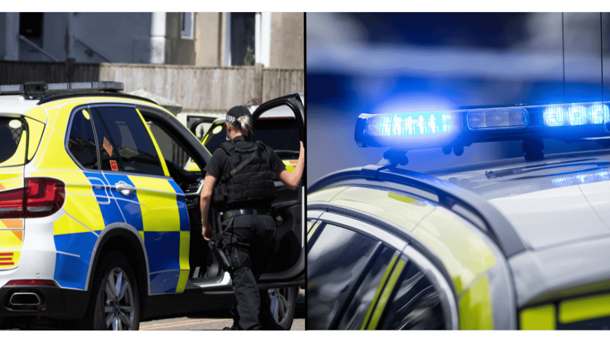 Police officer fired after giving mates a lift with blue lights on