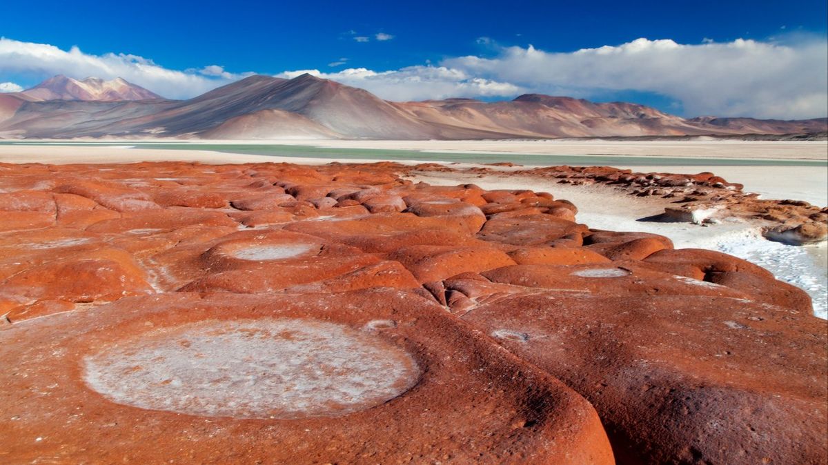 Scientists make shocking discovery digging in one of the driest places on earth