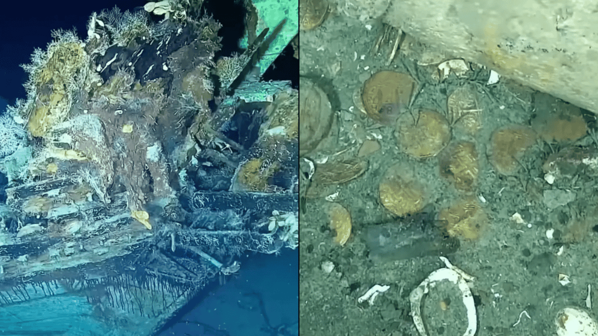 'Holy grail of shipwrecks' to be recovered with treasure worth up to ...
