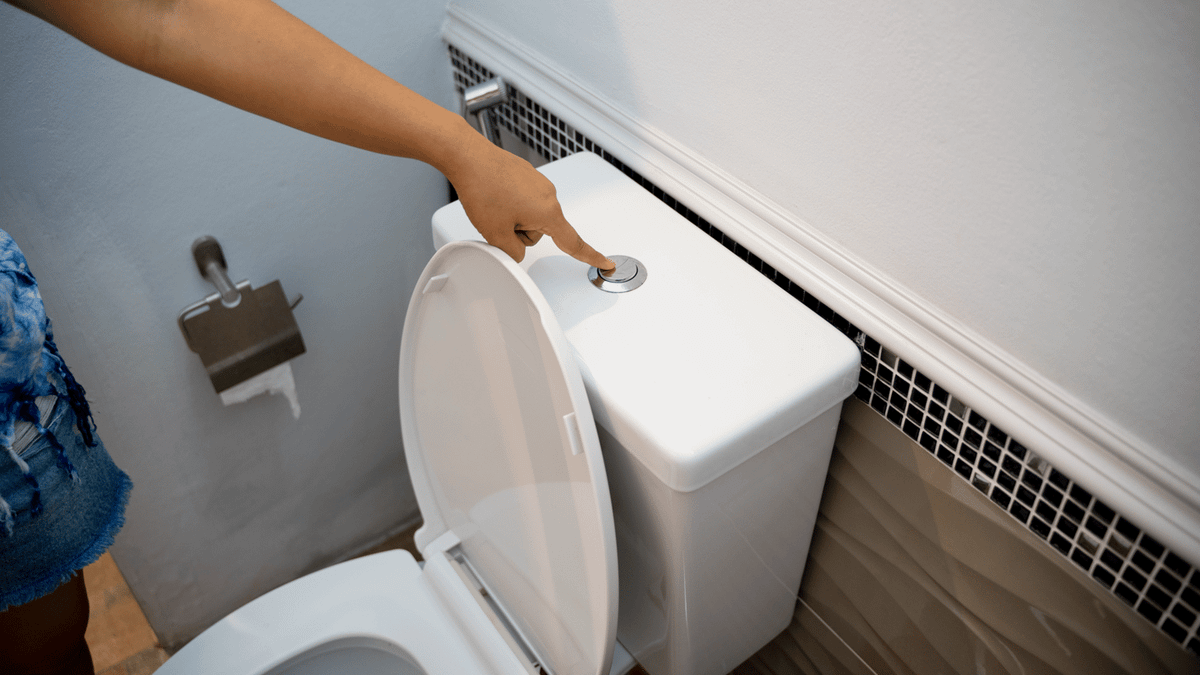 Worrying truth behind flushing animal poo down the toilet as vet warned ...