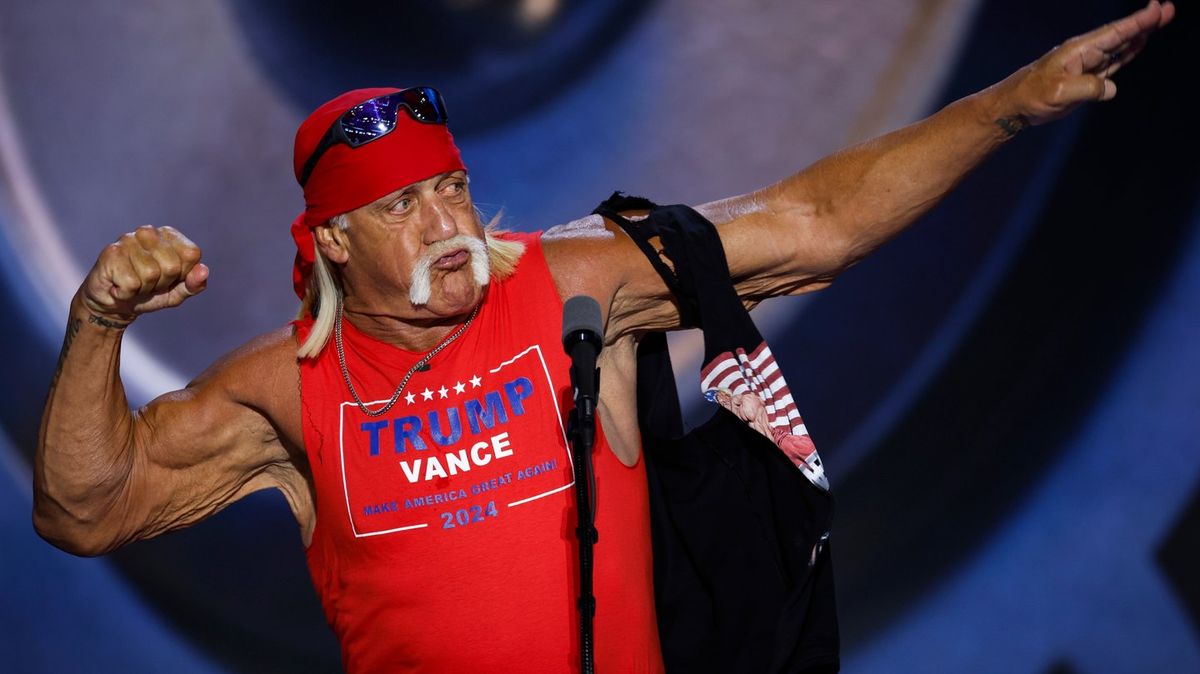 Hulk Hogan 'hoped son wasn't reincarnated as black man' in racist rant ...