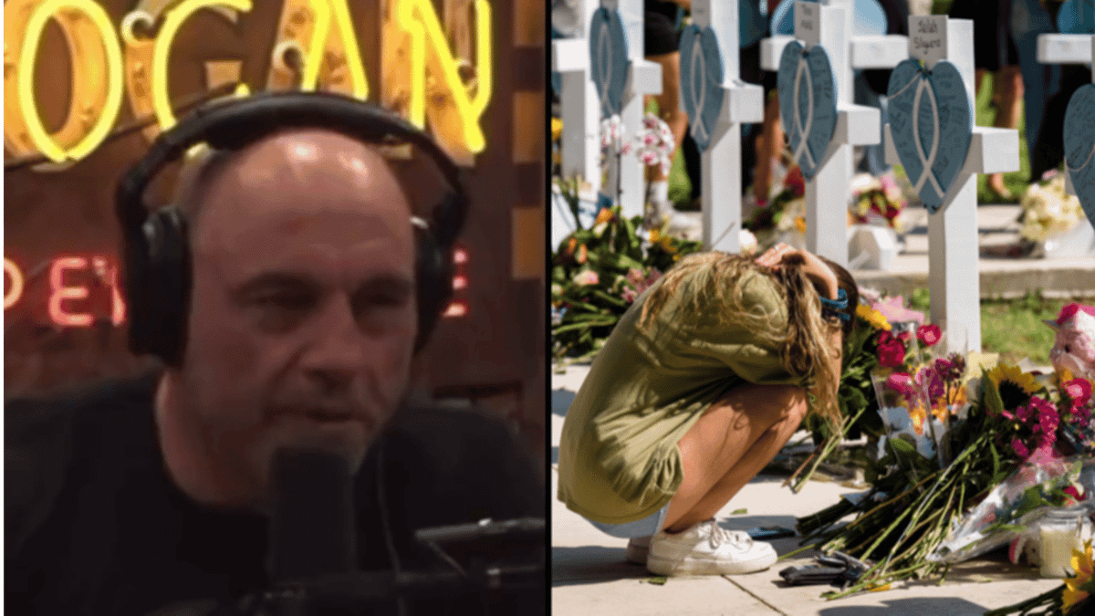 Joe Rogan Says Gun Reform Would Be Stupid Because Then Only ‘Criminals ...