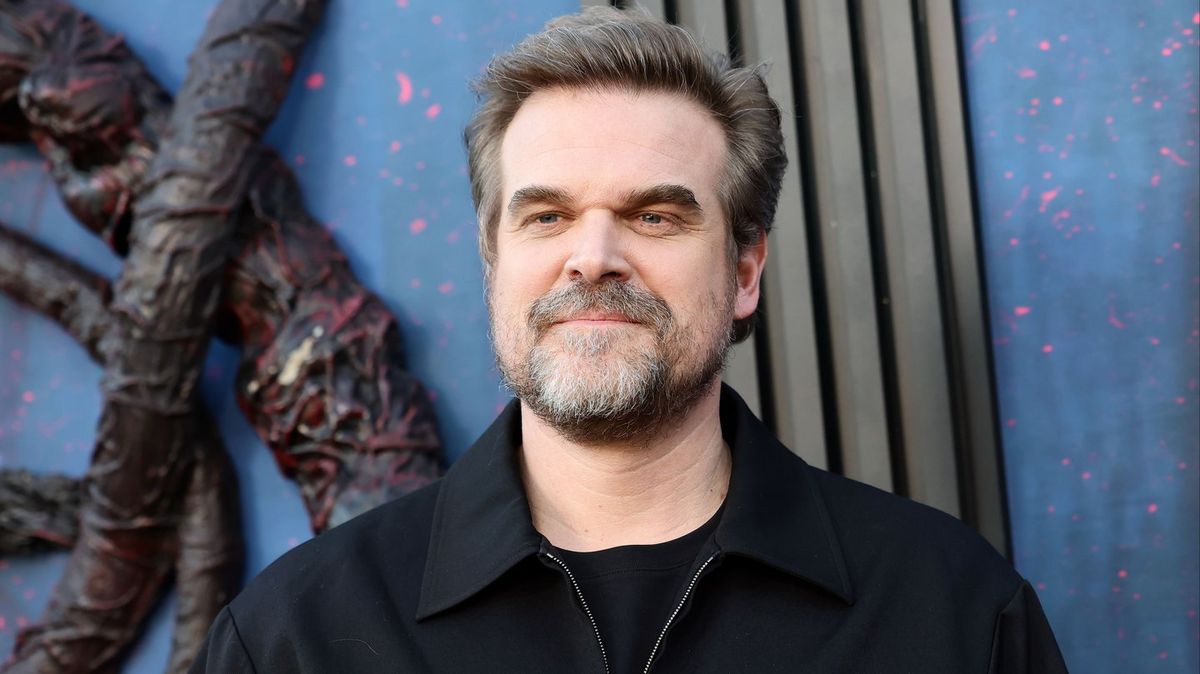 David Harbour addresses cheating allegations as he admits Lily Allen's album was 'weird'