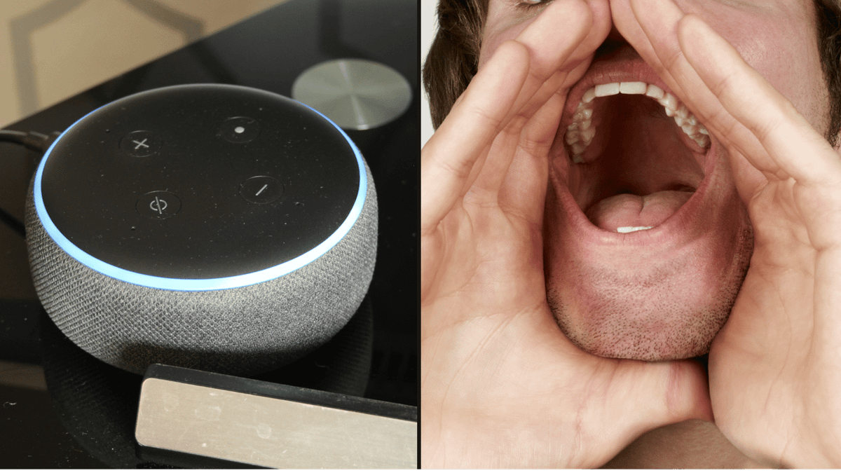 People warned to never ask Amazon Alexa question which could put you in ...