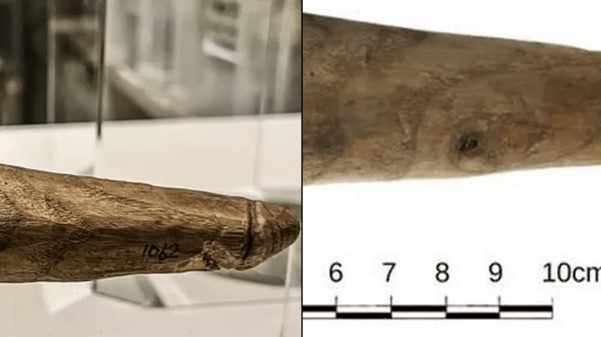 Ancient 'sex toy' could be the oldest and most used in Britain, experts say