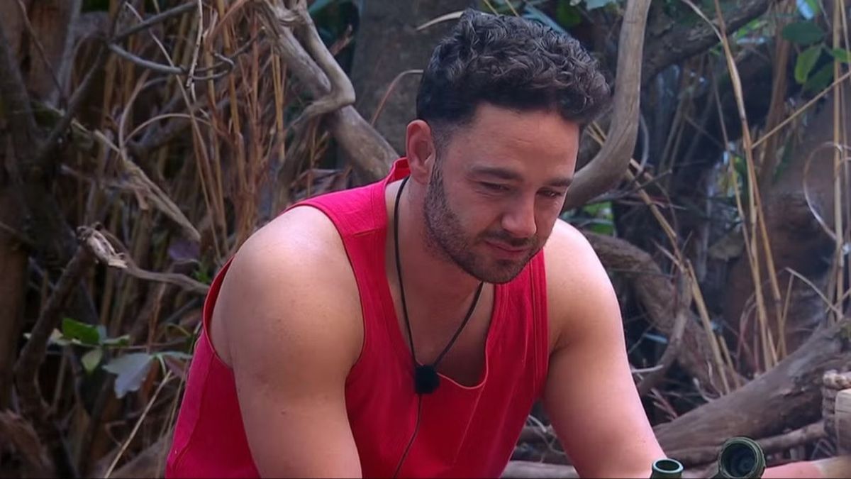 Adam Thomas reveals 'disturbing message' David Haye sent after I'm A Celeb final as boxer sues ITV