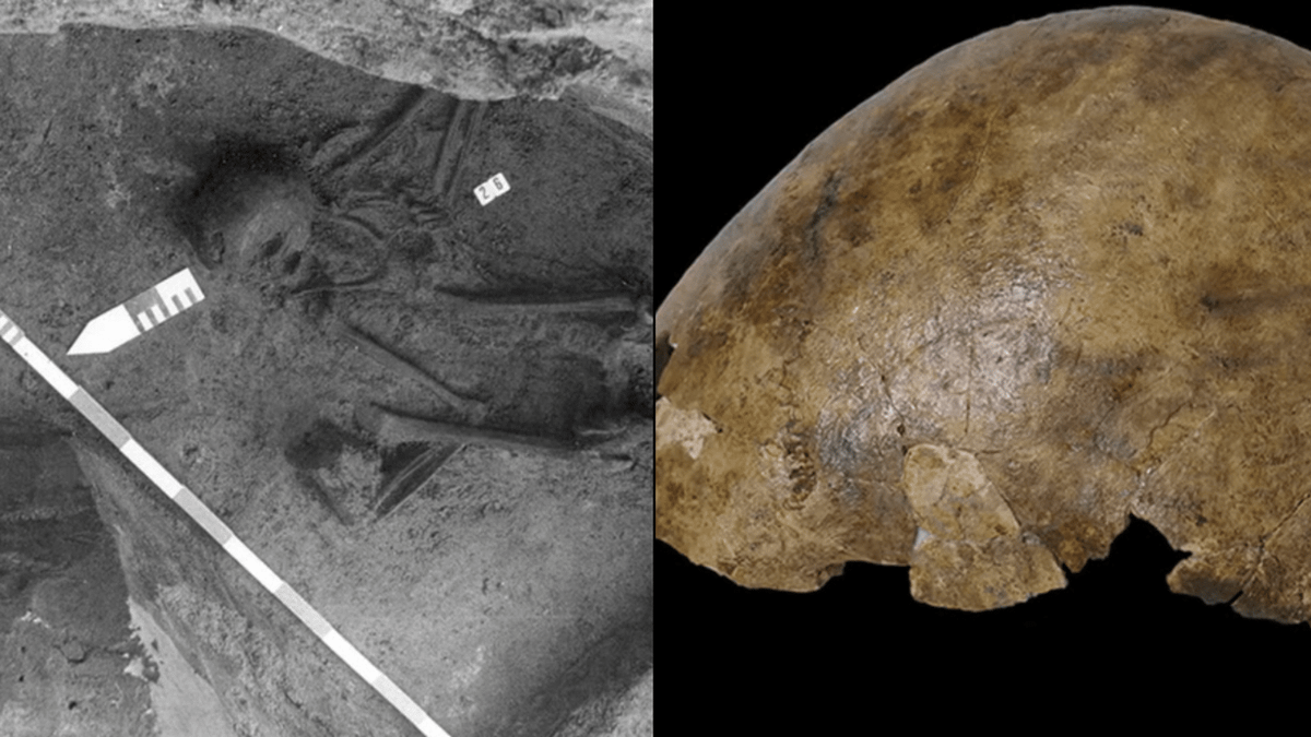 Experts finally solve mystery of strange skeleton with bones from five ...