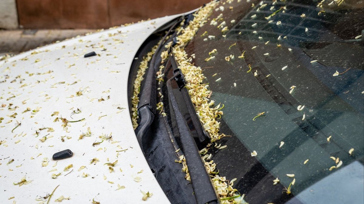 UK drivers warned even slightly dirty windscreens could lead to £1,000 fine this summer