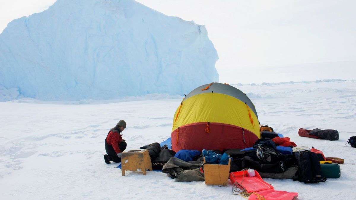 Antarctica has had just 11 people born there and there's a strange reason why