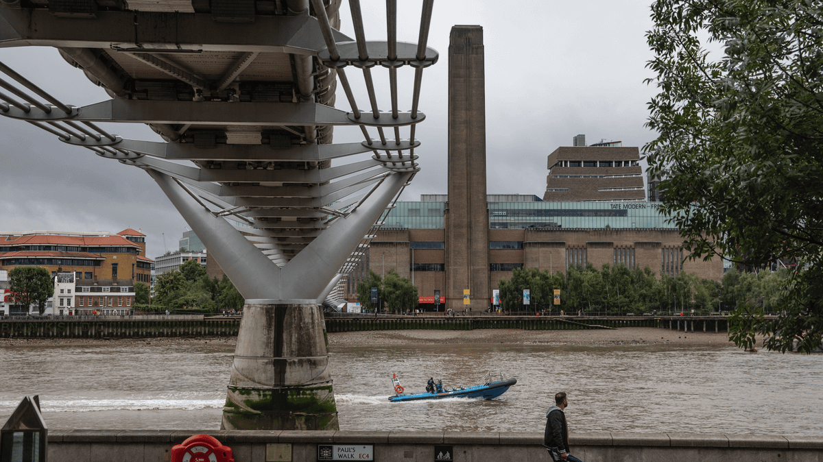 Family of child, 6, thrown off balcony at Tate Modern gallery give heartbreaking update