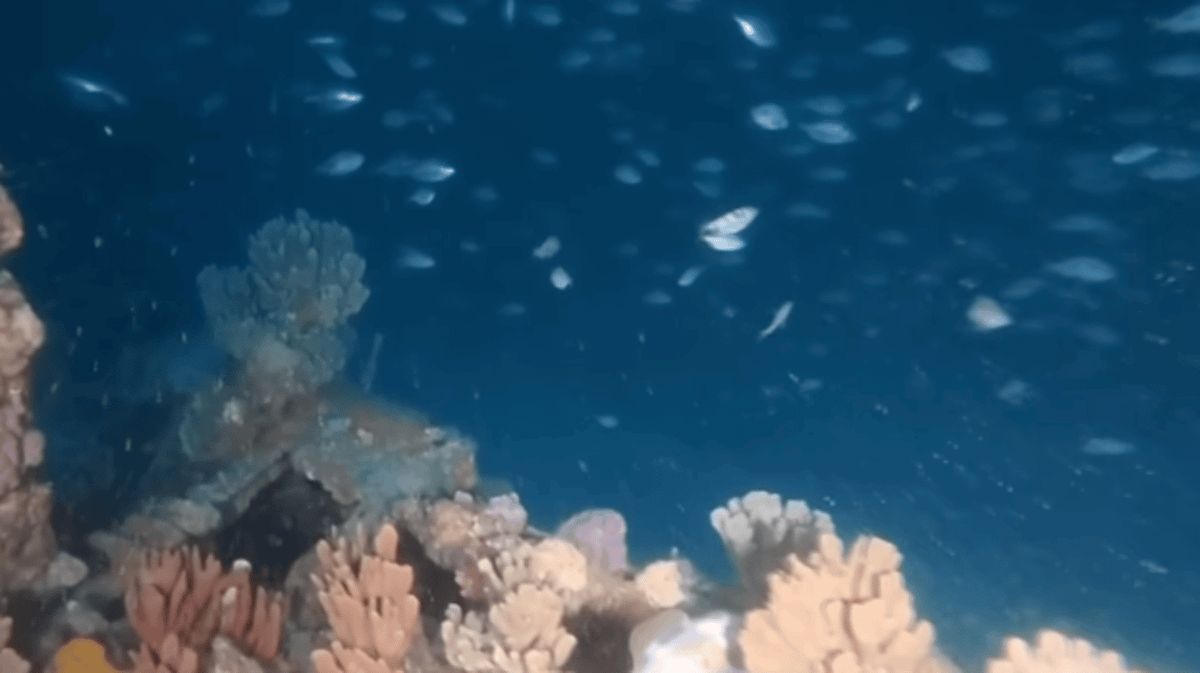 Shaft Without Thread 150-year-old mystery solved but $500 million is still trapped underwater
