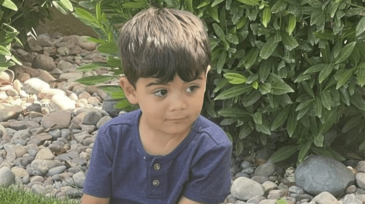 Family release devastating statement after boy, 3, crushed to death by park monument