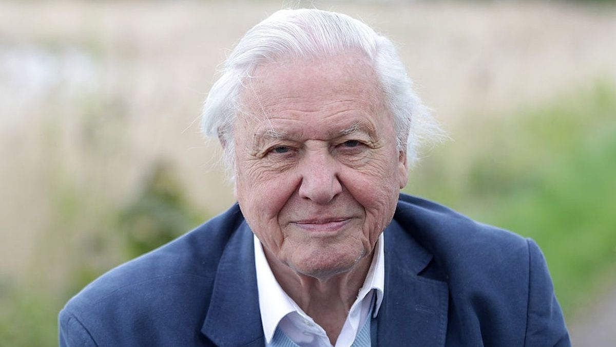 David Attenborough credits his long life to a very specific diet as he hits 100