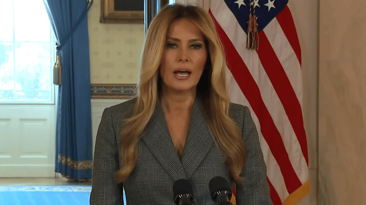 Melania Trump hits out at 'lies' over Jeffrey Epstein links in rare public statement