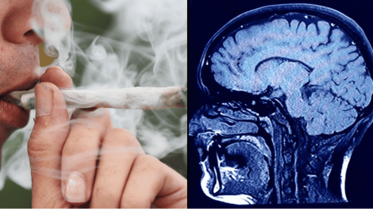 Timeline of what happens to your body after quitting weed as Snoop gives it  up