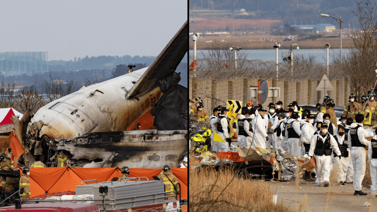 first-words-survivor-plane-