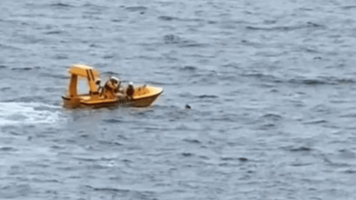 Moment fearless dad jumped into sea to save daughter who fell from ...