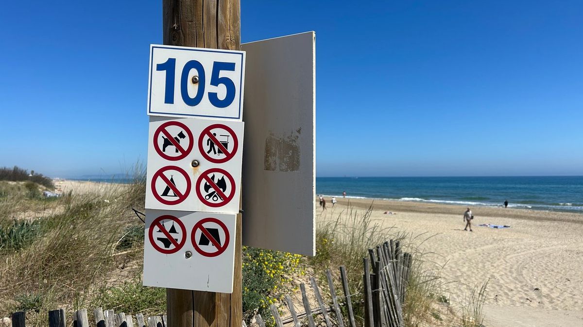 Cap d'Agde's Identity Crisis: Nudist Paradise or Swinger Hotspot?