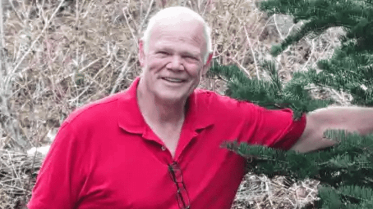 Grandfather loses legal career after rollercoaster left him needing emergency brain surgery