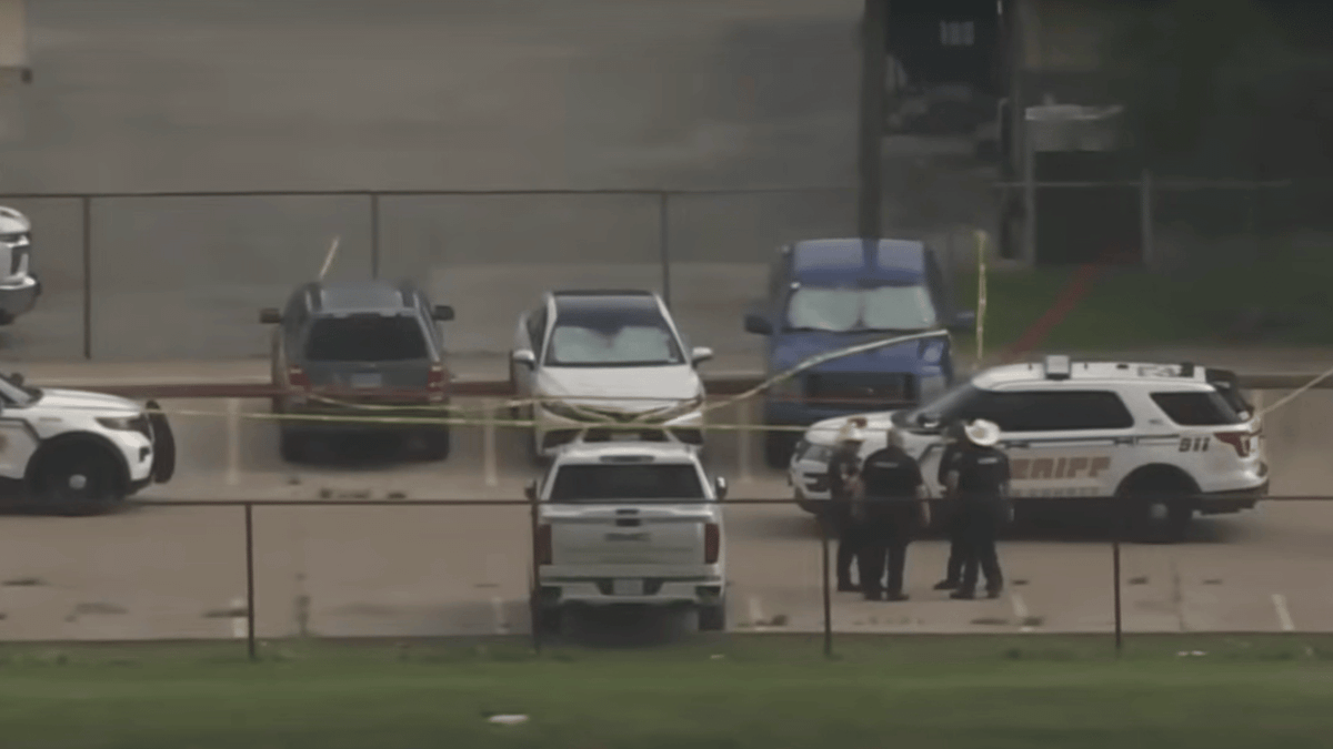 Girl, 9, dies after mum left her in the car whilst she went to work