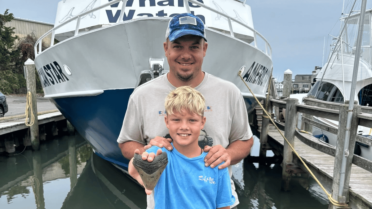 Massive Megalodon tooth found by 11-year-old boy on holiday
