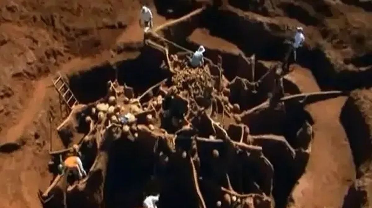 Scientists discovered hidden mega-city after pouring tonnes of cement into abandoned ant hill
