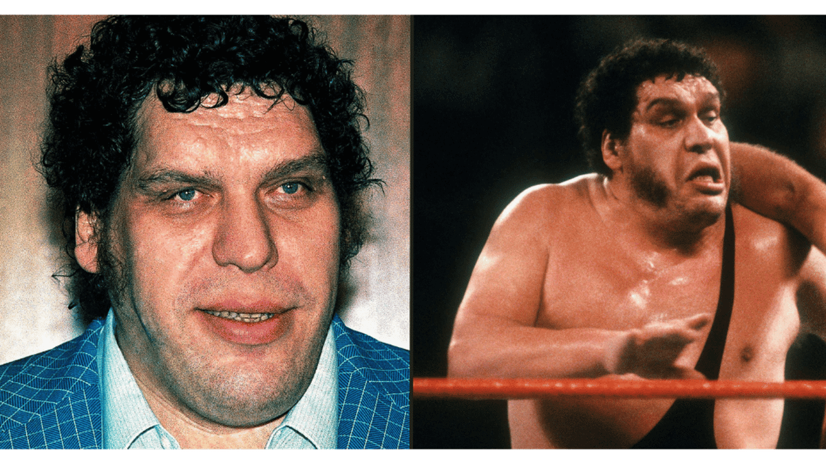 Andre the Giant left passengers ‘unable to breathe, gagging and crying’ after doing a huge poo on plane