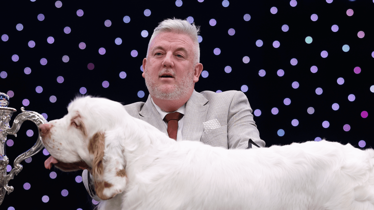 Crufts Best in Show winner convicted of animal cruelty after keeping dogs 'bald, scabby and filthy'