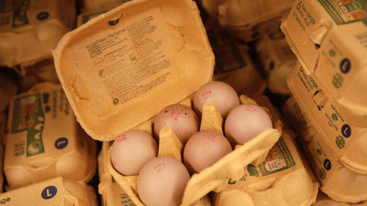Signs emerge warning Sainsbury's shoppers they will be prosecuted for