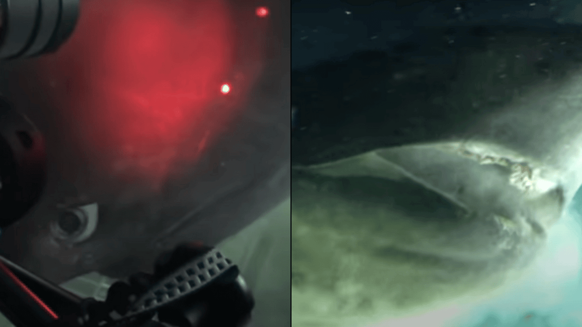 Sub Creature Sub on ocean floor comes into contact with deep-sea monster that ...