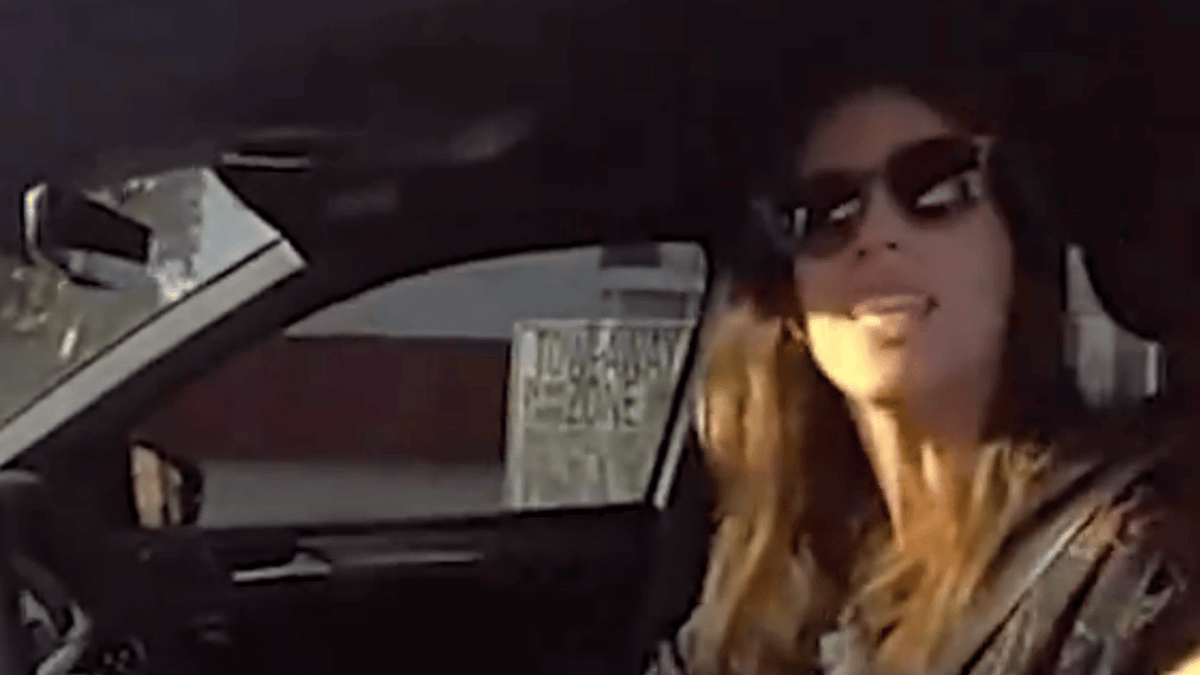 Ridiculous moment police officer accuses one-armed woman of texting and driving