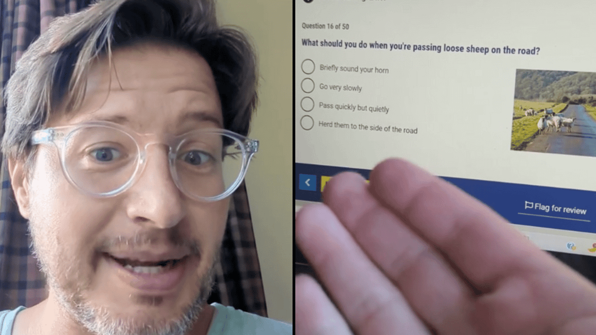 Wtf Tested American has ‘wtf’ reaction to UK driving theory questions