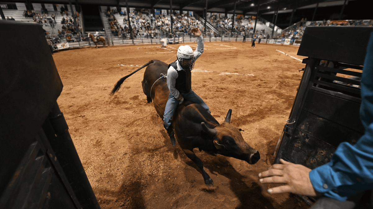 Rodeo rider almost bleeds to death after being gored by bull horn in ...