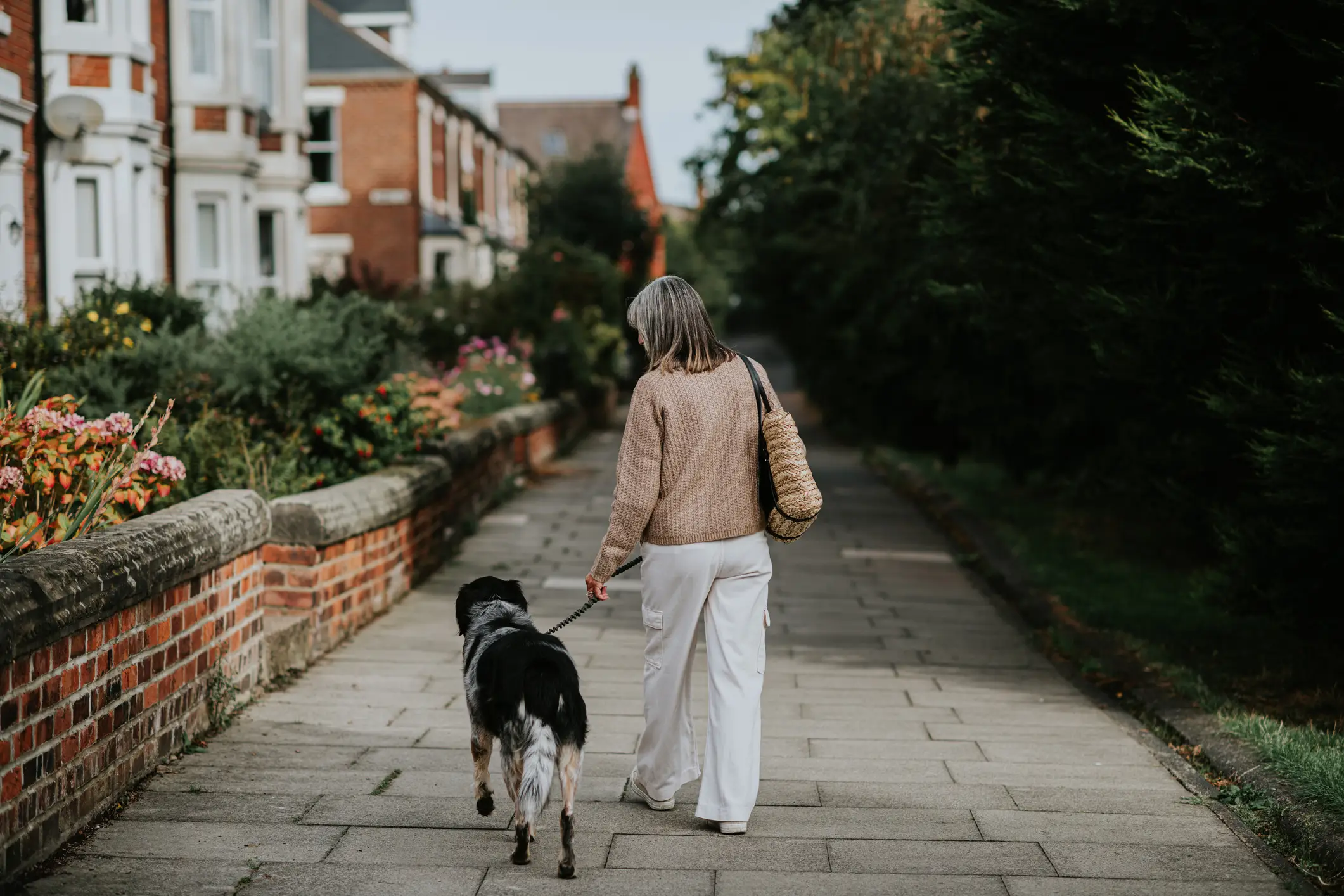 Suburban Dog Walk