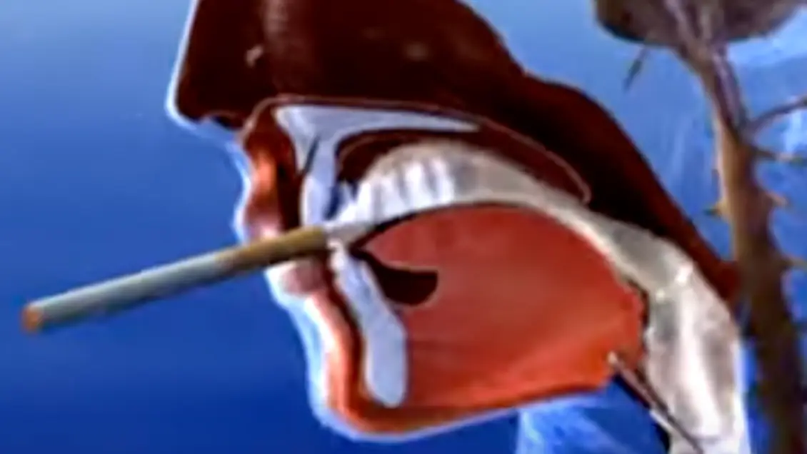 monster caffeinated cigarettes White Monster + Cigarette (In the morning) = PEAK : r/monsterenergy monster caffeinated cigarettes White Monster + Cigarette (In the morning) = PEAK : r/monsterenergy