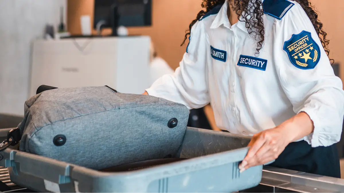 tsa sex toy How to Travel With Sex Toys