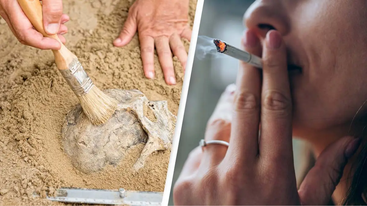 cigarette remains Scientists reveal shocking changes smoking does to your body after studying  remains of 800-year-old
