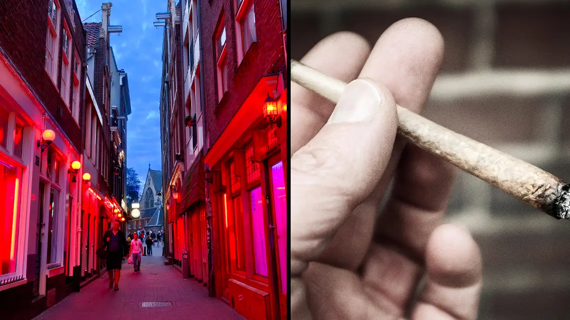 is tobacco legal in amsterdam All of the new rules Amsterdam tourists will face around weed, drinking and  brothels
