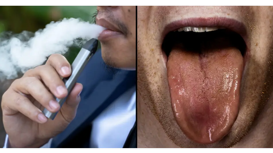 proper humidity for pipe tobacco How to Store Pipe Tobacco