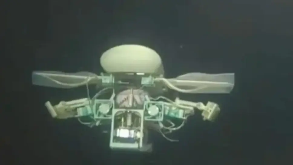 Robot travels to world's deepest point while looking for deep-sea