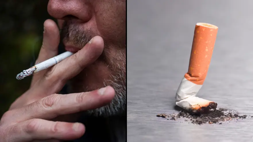 cigarette lifespan Exact amount of minutes smoking one cigarette takes off your lifespan, new  study shows