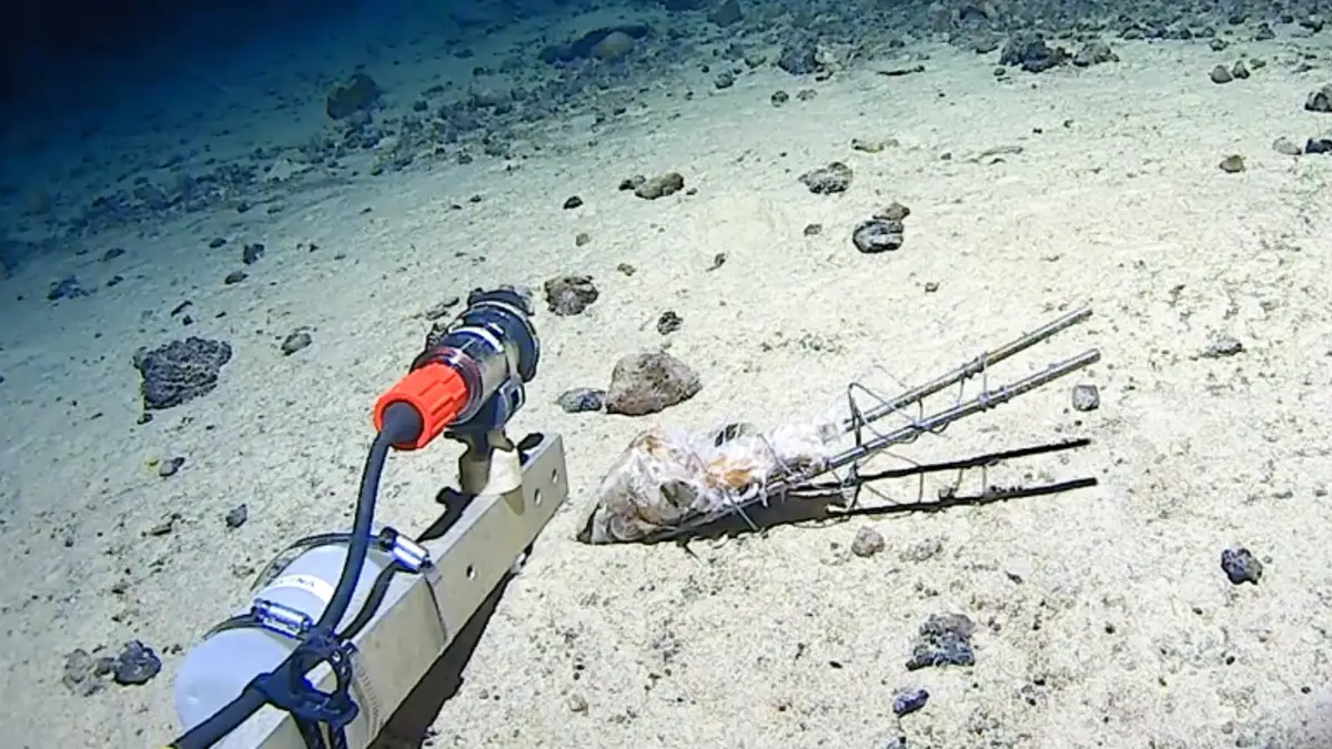 ladbible.com - Brenna Cooper - Alien sharks' filmed for the first time ever by researchers in their natural habitat