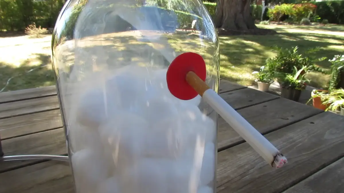 Insane simulation shows how 30 packs of cigarettes can destroy your lungs