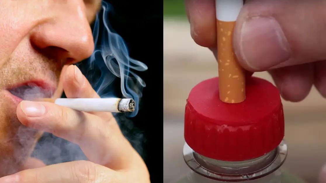 Experiment shows impact smoking one cigarette has on body after new study  shares exact time it