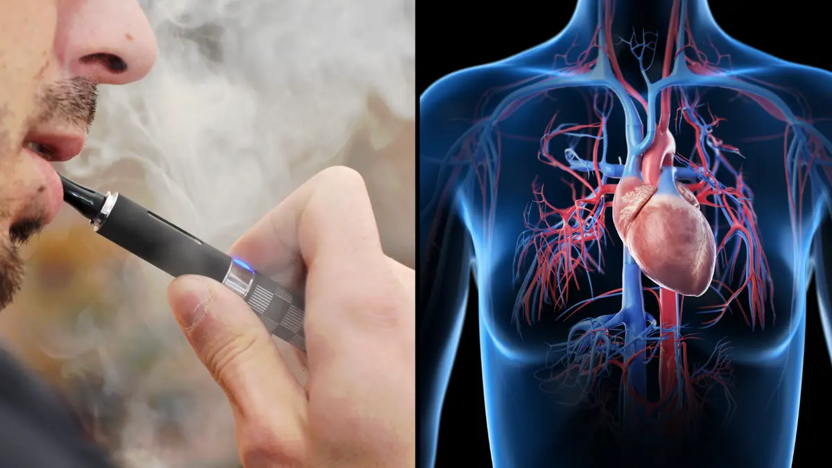 elfbar elfa kaufen Can vaping damage your lungs? What we do (and don't) know main image 0