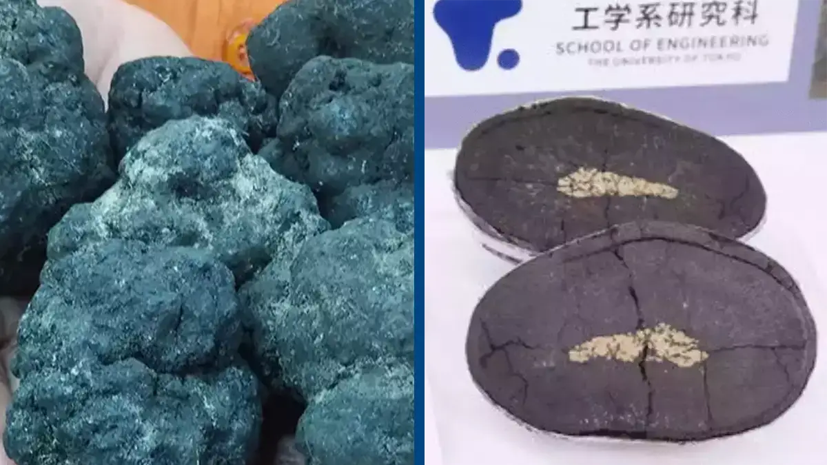Japan Success Group THE MINERAL セット US, Japan to focus rare earths cooperation on select group of