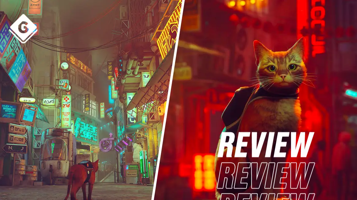 Stray' Review: Annoying Cat Simulator Is A GOTY Contender