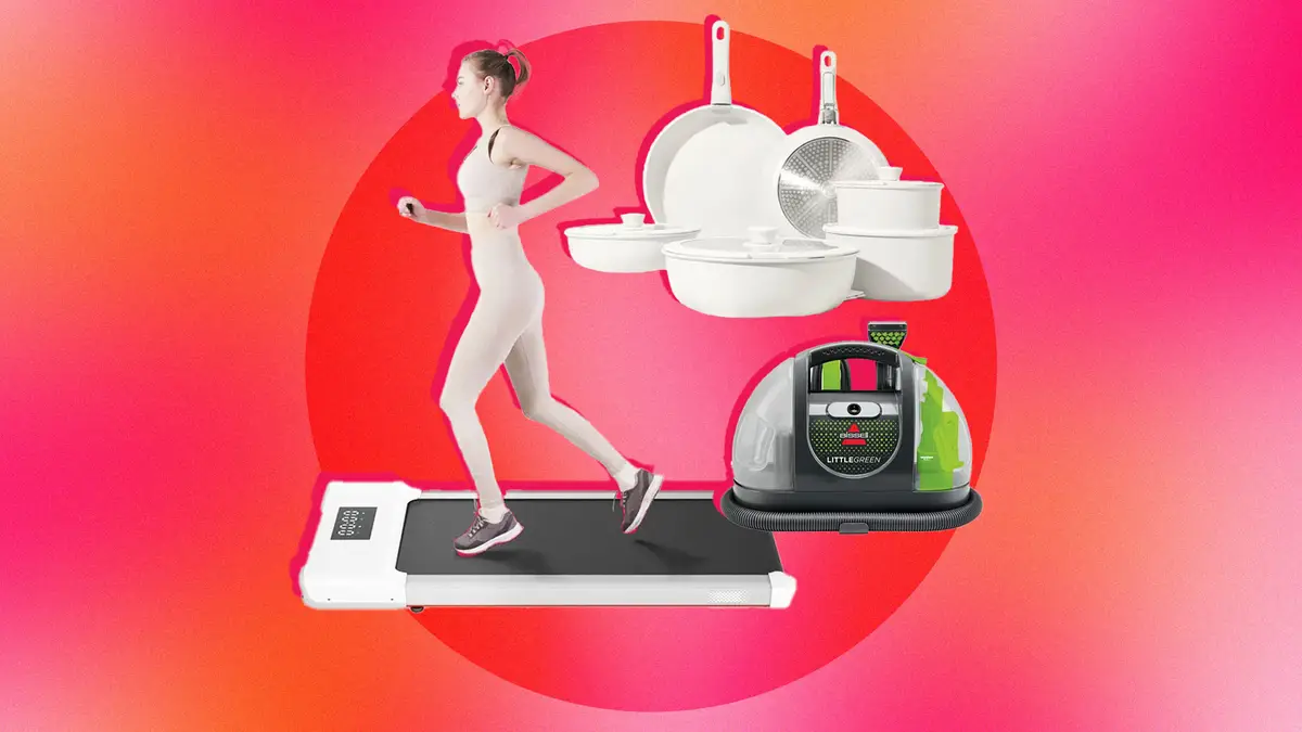 vibration collar for small dogs Vibration Machines for Effective Exercising