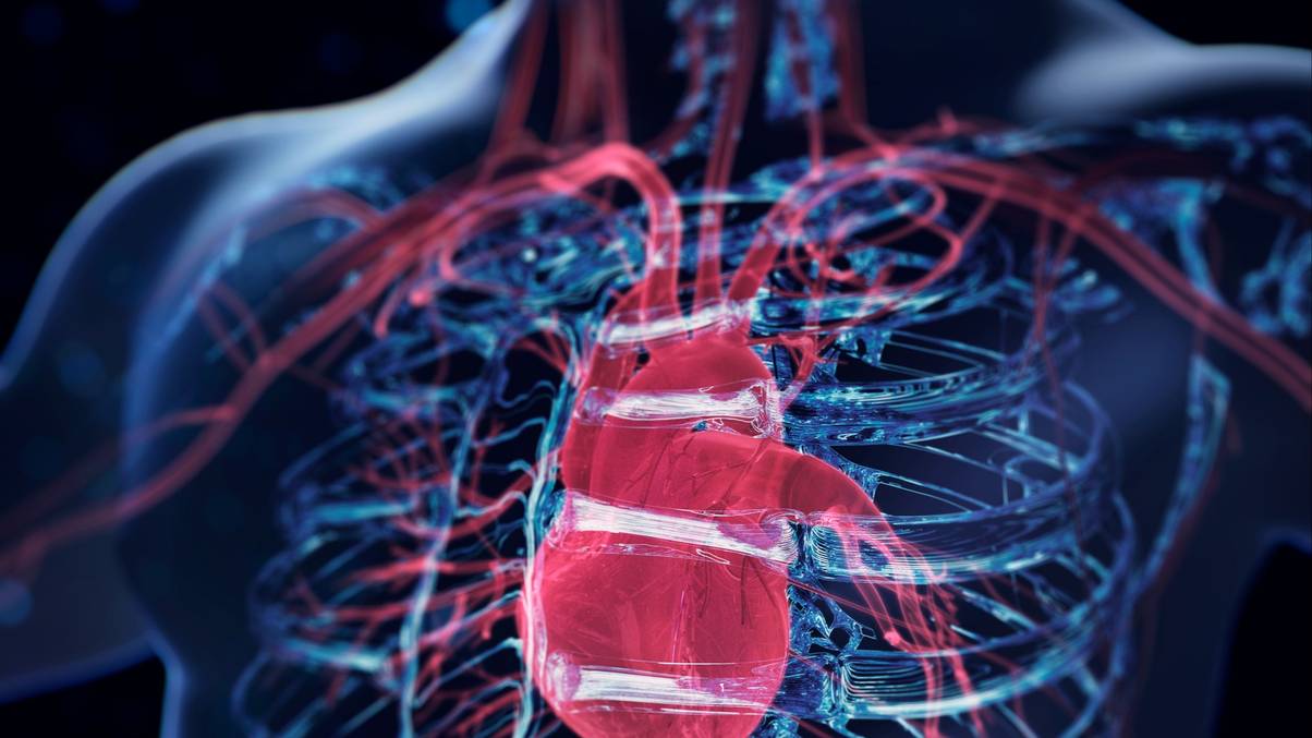 Everything that changes when you take Omega-3 Fish Oil and Vitamin D supplements together