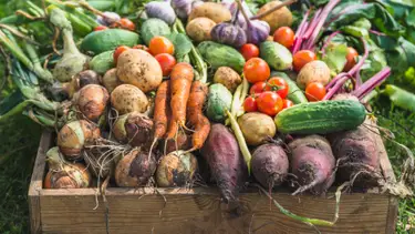 alicjane/Getty Images